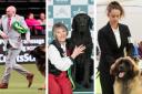 Lee Studholme and Neville; Mary Soloman and Thomas; and Jennifer Herod and Cilla - all performed at the Crufts dog show.