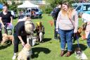 Bradwell enjoyed its inaugural fun dog show on April 14.