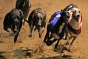 The business event will be held at Yarmouth Stadium, where greyhound racing is held