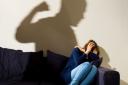 Funding has been awarded to help Norfolk's councils provide support to victims of domestic abuse - but questions were asked by some councillors over whether the money will go far enough