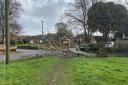 A fallen tree in Reydon, Southwold.