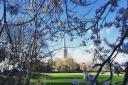 Spring has arrived at Norwich Cathedral