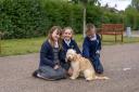 Lily the dog at Peterhouse Church of England Primary School in Gorleston.
