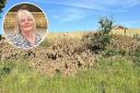 Councillor Penny Carpenter was 'livid' after learning that up to eight oak trees near the Caister bypass roundabout had been chopped down.