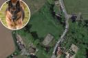 A new dog walking field could open in a field in Moulton St Mary in Norfolk.
