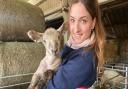 Norfolk shepherdess Bethany Atkinson, from Stokesby, has won the 2021 Chris Lewis Award for young livestock farmers