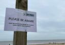 A warning has been issued on beaches near Great Yarmouth after dead shellfish washed up on beaches