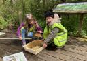 Children from Fairhaven Primary School enjoying 'dyke-dipping' during a trip to Ranworth Broad.