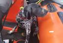 A dog was rescued more than half a mile from Caister beach by lifeboat crews this morning