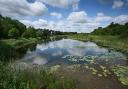 Lound Lakes has been recognised as a County Wildlife Site by the Norfolk Wildlife Trust.