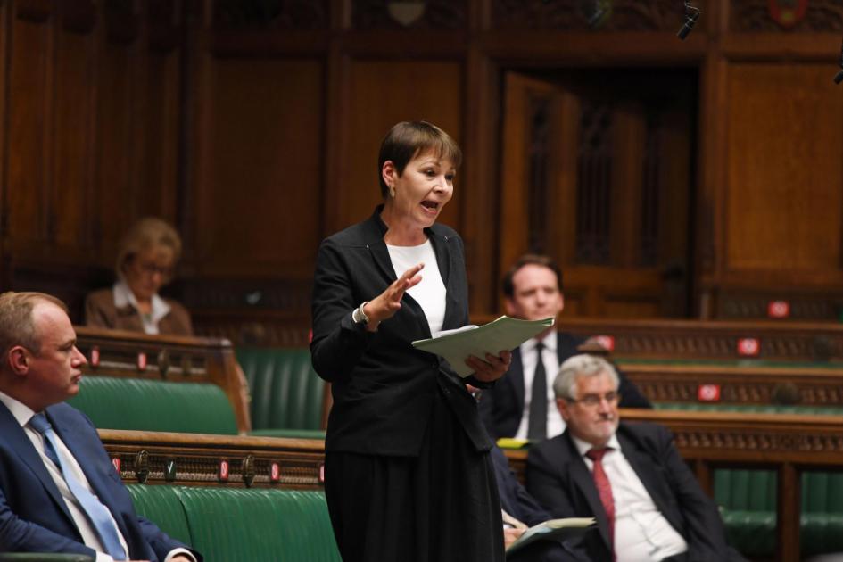 Green Party’s only MP Caroline Lucas to stand down at next election