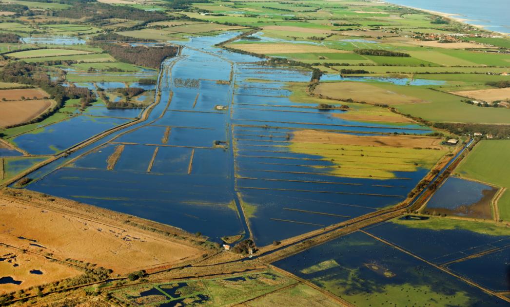 Norfolk Broads pumping project to begin amid flooding crisis 