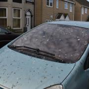 A car covered in starling mess caused by the Kent Square flock