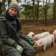 Vic Jenkins, co-owner of Thatched House Farm in Norton Subcourse, with her British Lop piglets