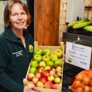 Emma Tacon with locally-sourced produce and the new milk dispenser at The Tacons farm shop in Rollesby