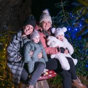 The Fairhaven Woodland and Water Garden Christmas Lights Walk is returning.