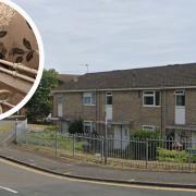 An Orbit Housing tenant on Leman Road has complained of damp and mould in her living room.