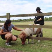 PC Mariah Hammond visited the Shetland pony she saved last year. Picture - Redwings Horse Sanctuary