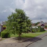 A grey alder tree at The Cobbleways in Winterton will not be chopped down following objections from residents.