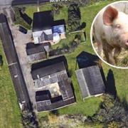 A bid to convert a former pig pen off Market Road in Burgh Castle into housing has been appealed to the planning inspector.