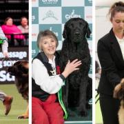 Lee Studholme and Neville; Mary Soloman and Thomas; and Jennifer Herod and Cilla - all performed at the Crufts dog show.