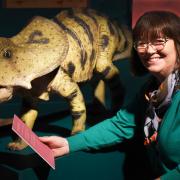 Nat Fairweather, exhibitions officer at the Time and Tide Museum, with a protoceratops model, part of the Dinosaurium: Re-imagined creatures exhibition.