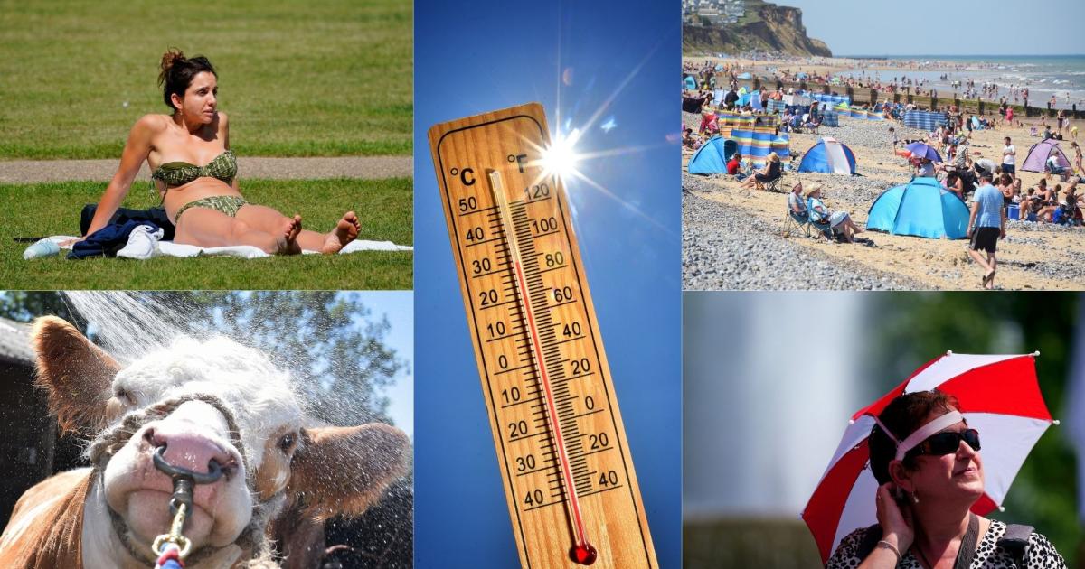Red alert! Norfolk braces for heatwave on eve of county's biggest show