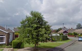 A grey alder tree at The Cobbleways in Winterton will not be chopped down following objections from residents.