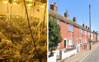A sophisticated cannabis growing operation was found at Stanley Terrace in Great Yarmouth